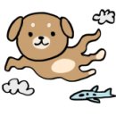 오렌지셀프세차장 이미지