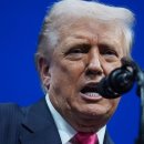 ‘마가’보다 ‘경제’…트럼프, 조지아 단속에 “바보같이 그렇게 하지 말라고 했다”﻿ 이미지