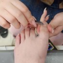 륀네일 이미지