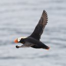 (주)야생 이미지