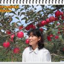 사과같은내얼굴 티스토리