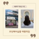 수진2동 행정복지센터 | 성남 미용실, 태평역 미용실 추천 모던헤어살롱 태평역점 연주 원장님께 아윤채 모발 클리닉 받았어요.