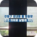 GS25 성내삼성점 | 강동구 성내동 25메쉬 롤 스크린 방충망 시공, 실측부터 시공까지 완벽하게