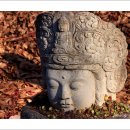 서정남로 이미지