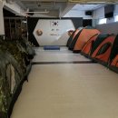 용인대 k-타이거즈 태권도장 이미지