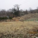 와부읍 팔당1리 이미지