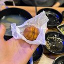 회꽃피는밤 이미지