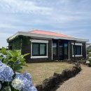 제주독채펜션돌담감성숙소밭담점 이미지