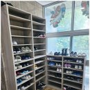 용인대 정심태권도 이미지