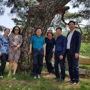 여우목 고개 이미지