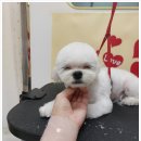 굿데이멍 이미지