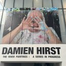 영생약국 | 국립현대미술관 데이미언 허스트 : 진실은 없어 그러나 모든 것은 가능하지 전시후기