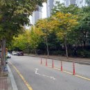 국수나무 세교점 이미지