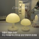 오마트 | 집들이 선물 추천 인테리어 소품 무선 조명 머쉬룸 무드등 하나로 감성 인테리어 완성템 실제 사용 후기