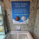 강릉 반려견 호텔 유치원 로젯펫살롱 세인트존스호텔점 | 강릉 세인트존스 호텔, 객실·부대시설·산책로 총정리