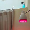 해소담한의원 이미지