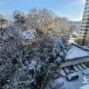 광주전남 최고 17.9㎝ 폭설…도로 통제, 항공기·여객선 결항 잇따라 이미지