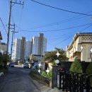 함평농협 하나로마트 이미지