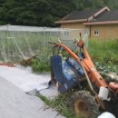 합동전국공인중개사사무소 이미지