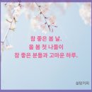 4월의 봄 나들이 춘천. (부제:강산을 오르는 봄) 이미지