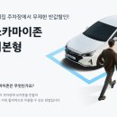 마이존 이미지