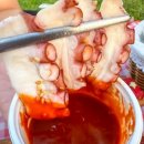 육회야문연어 네이버블로그