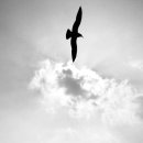 뜰에샘의원 이미지