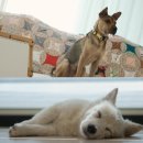 대길농장 이미지