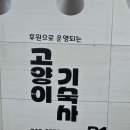 고양이 기숙사 이미지