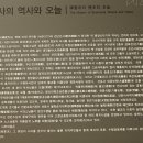 전북고창 가볼만한 여행지- 꼭 가보고 싶었던 천년고찰 도솔산 선운사 사찰 여행길