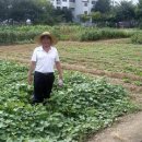 기평농장 이미지