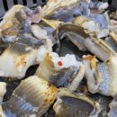 서송정길 이미지