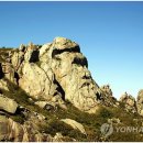 신한행정사 이미지