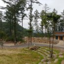 국립화천숲속야영장 이미지