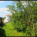 에코랜드 이미지