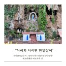 독점농장 | 사이판 내돈내산 정글투어 : 산타루데스성당-원주민농장-제프리비치-타포차우산