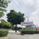 고파도박속낙지 이미지