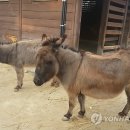 한만수 농장 연합뉴스
