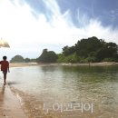 시원 카카오 검색결과