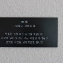 카페무홀 이미지