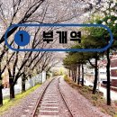 부개도서관(부일로 83번길 46) | [인천 부개 나들이 코스 추천] 감성 가득 벚꽃 철길 + 힐링 가득 부개도서관 탐방기[라틱인천]