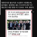 자국수해현장 외면하고 일본차(도요타)타고 달려간 그곳 이미지