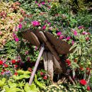 좋은 아침 이미지