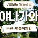 한라봉관광 이미지