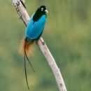 효성중앙지역아동센터 이미지