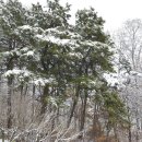 능동공원 이미지