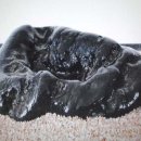 수석전시관 이미지