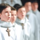 파리나무십자가 소년합창단 내한공연 이미지