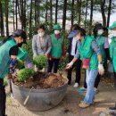 김포대로 이미지