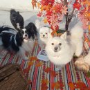 엄마 잘 다녀와 이미지